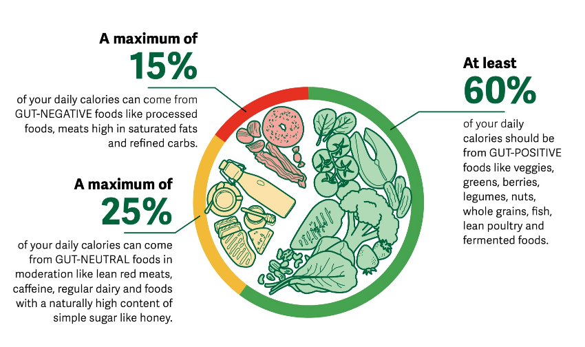 Gut-Positive Food Chart - Daily Calorie Distribution Guide